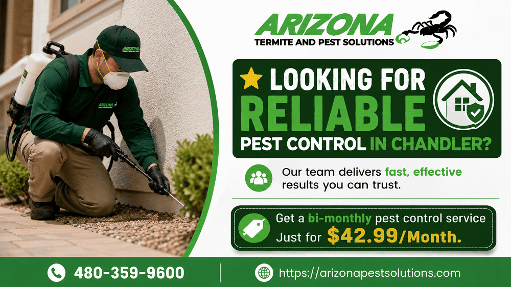 Trusted Pest Control Services in Arizona – AZ Pest Solutions