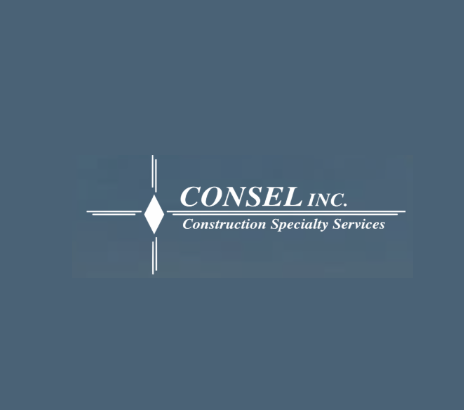 Consel Inc