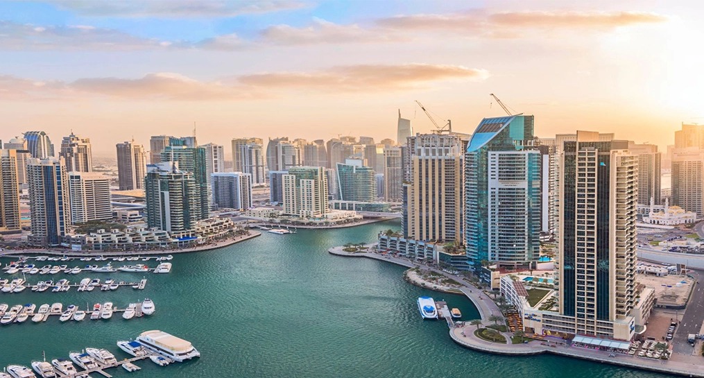 Innovation City Free Zone Business Setup