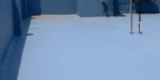 Screenshot_2