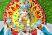 Shop Premium Silicon Ladoo Gopal at Shree Chamunda Pujapa Ahmedabad